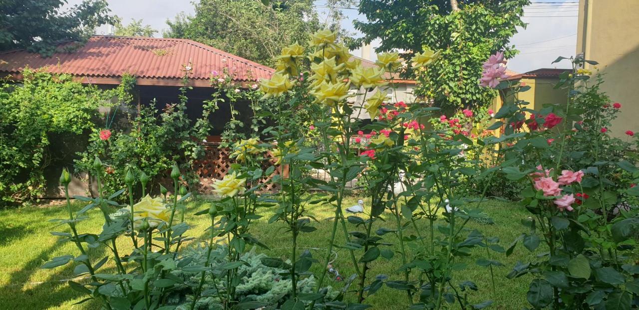 Villa Mugur دووا مايْ المظهر الخارجي الصورة